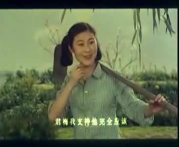 豫剧经典剧目 豫剧《金鸡引凤》剧照 剧情介绍 唱词