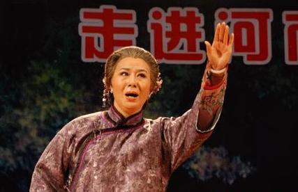 豫剧经典剧目 豫剧《风雨故园》剧照 剧情介绍 唱词