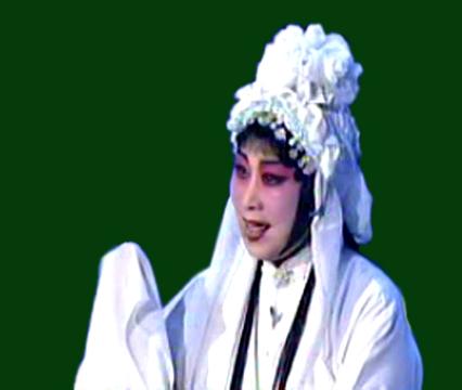 梨园子弟,张美贞简介
