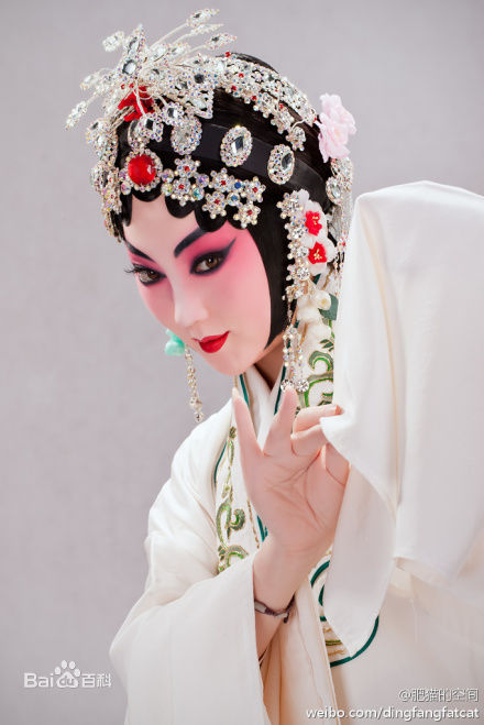 梨园子弟,丁晓君简介