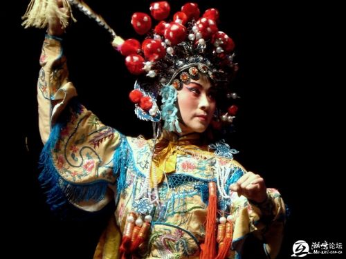 梨园子弟,王小萍简介