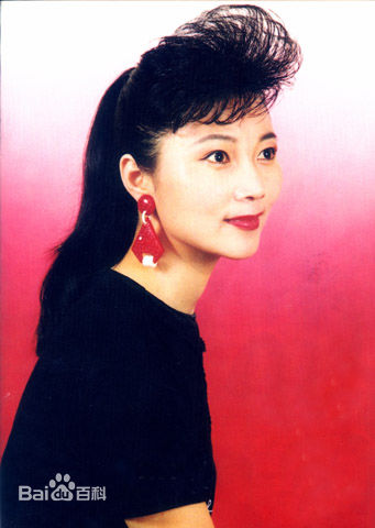 梨园子弟,陈岚简介