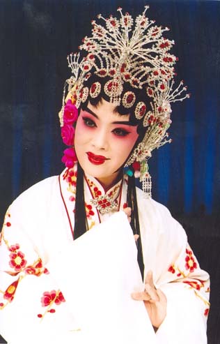 梨园子弟,王丽京简介