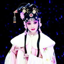 梨园子弟,贾菊兰简介