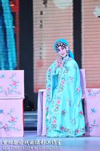 梨园子弟,郭美金简介著名豫剧演员