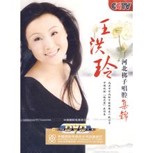 梨园子弟,王洪玲简介