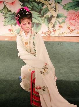 梨园子弟,路莎莎简介