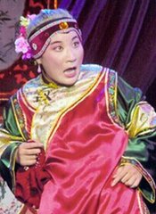 梨园子弟,魏小梅简介著名越剧演员