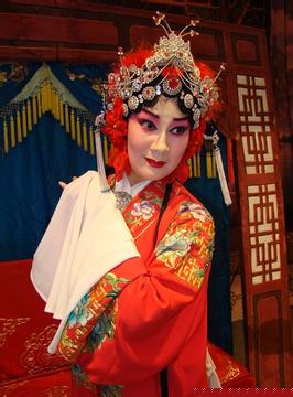 梨园子弟,赵娟简介